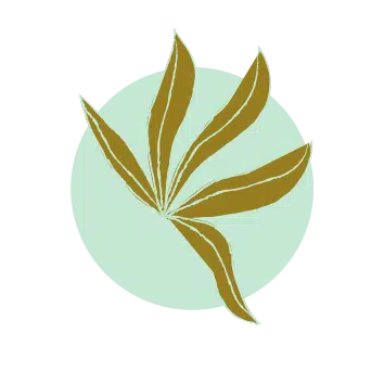 seance de naturopathie bordeaux plantes